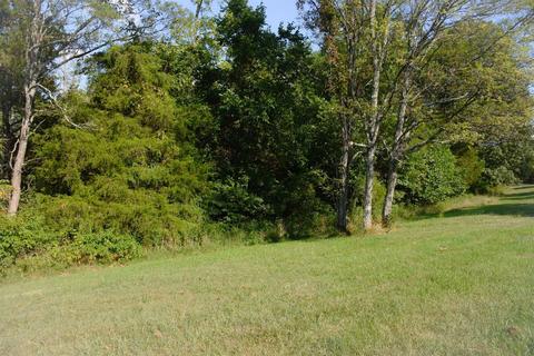 2425 Burton Pike, Georgetown, KY 40324 photo 6