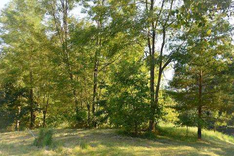 2425 Burton Pike, Georgetown, KY 40324 photo 5