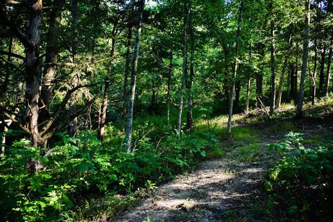 2425 Burton Pike, Georgetown, KY 40324 photo 7