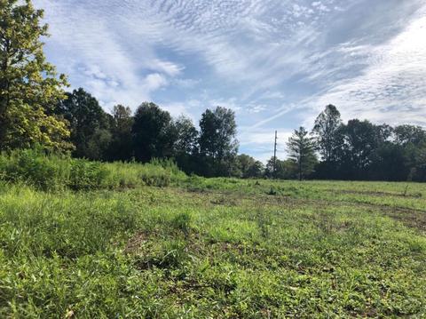 175 Incline Rd, Corbin, KY 40701 photo 5