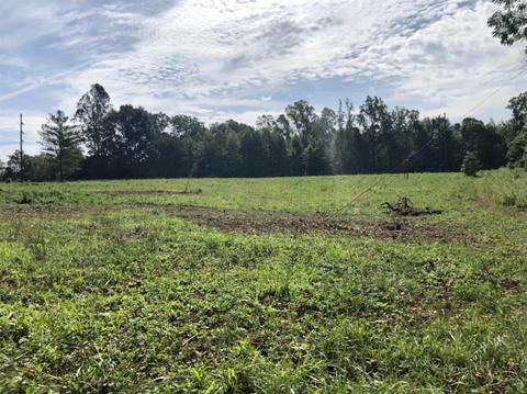 175 Incline Rd, Corbin, KY 40701 photo 4