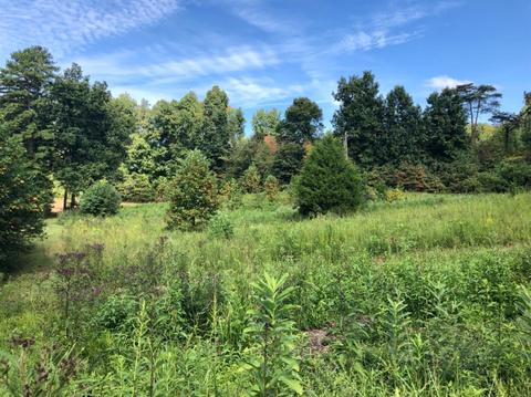 175 Incline Rd, Corbin, KY 40701 photo 7