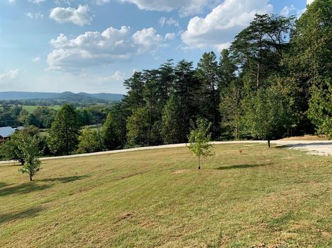 12467 Morehead Rd, Wallingford, KY 41093 photo 30