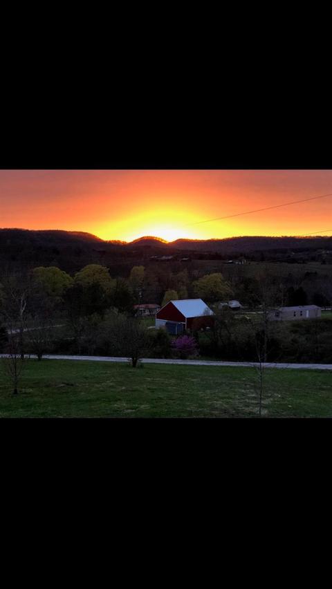 12467 Morehead Rd, Wallingford, KY 41093 photo 44