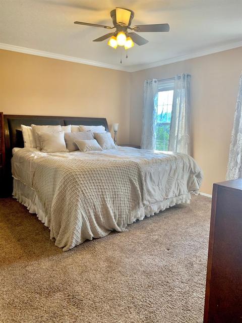 12467 Morehead Rd, Wallingford, KY 41093 photo 19