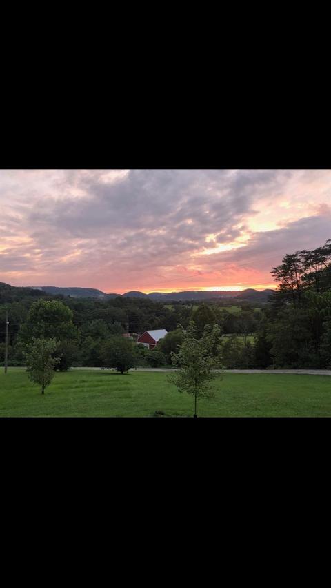 12467 Morehead Rd, Wallingford, KY 41093 photo 38