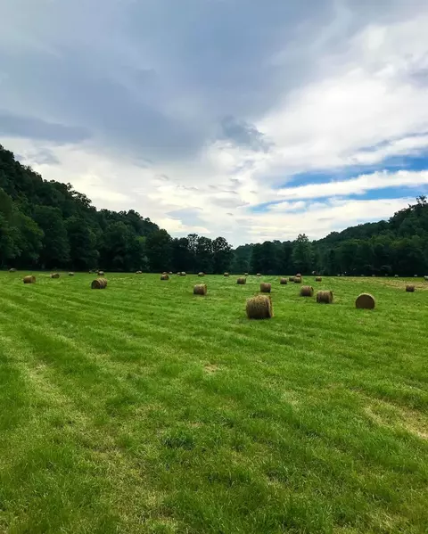 2229 Pointer Creek Rd, Science Hill, KY 42553 photo 16