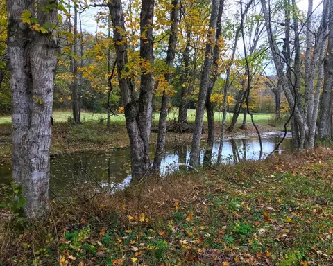 2229 Pointer Creek Rd, Science Hill, KY 42553 photo 12