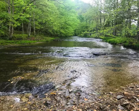 2229 Pointer Creek Rd, Science Hill, KY 42553 photo 1