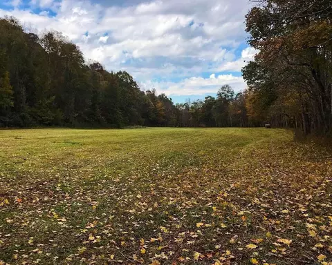 2229 Pointer Creek Rd, Science Hill, KY 42553 photo 6