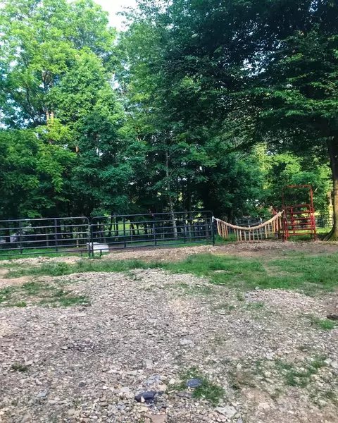 2229 Pointer Creek Rd, Science Hill, KY 42553 photo 15