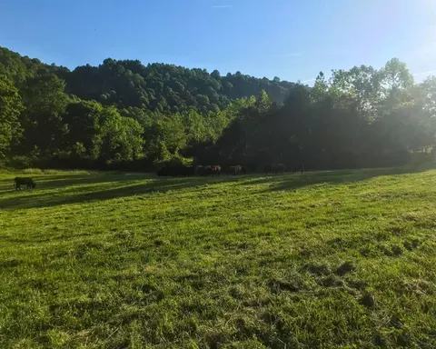 2229 Pointer Creek Rd, Science Hill, KY 42553 photo 5