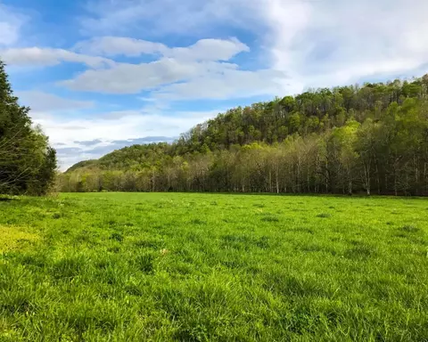 2229 Pointer Creek Rd, Science Hill, KY 42553 photo 4