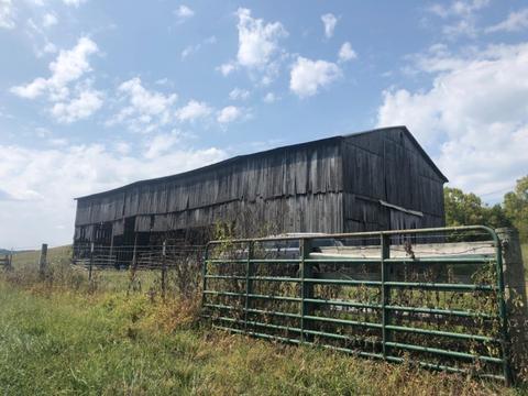 580 Griggs Rd, Waco, KY 40385 photo 15