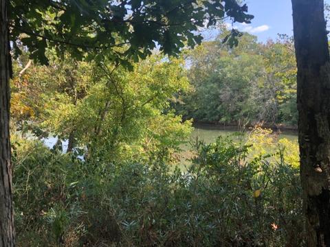 580 Griggs Rd, Waco, KY 40385 photo 21