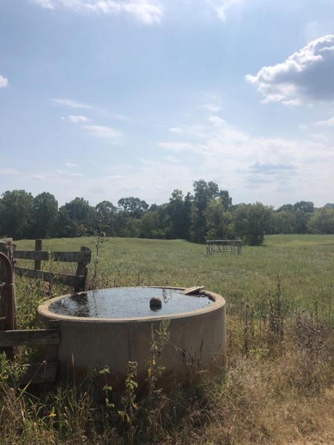 580 Griggs Rd, Waco, KY 40385 photo 17