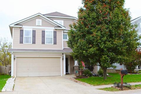 132 Meadow View Way, Georgetown, KY 40324 photo 44