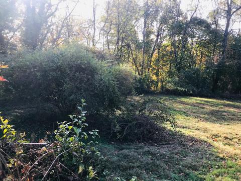 108 Pearl St, Berea, KY 40403 photo 22