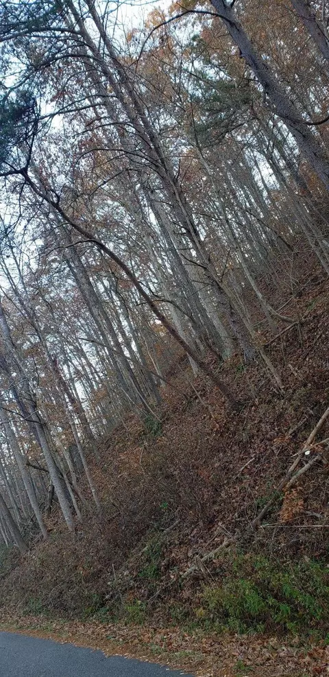 820 Leslie, Rush, KY 41168 photo 7