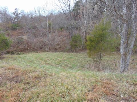 231 River Bend Rd, Waco, KY 40385 photo 5