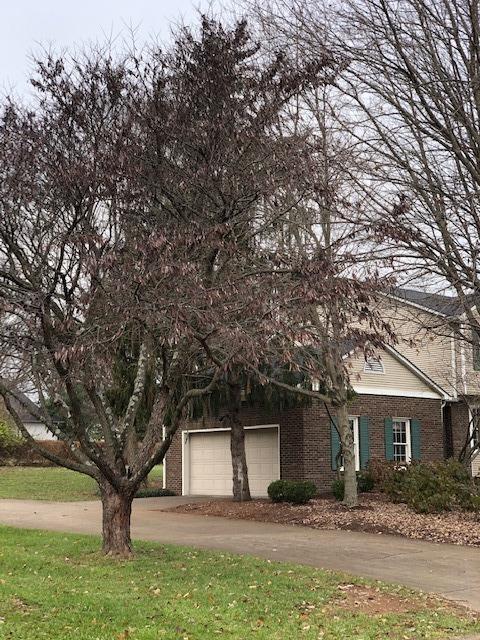 102 David Ln, Georgetown, KY 40324 photo 55