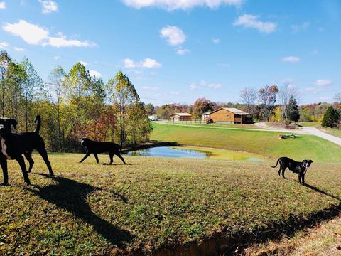 950 Sinking Valley School Rd, Mckee, KY 40447 photo 49