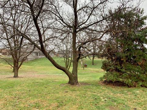 504 Gladson Dr, Berea, KY 40403 photo 29