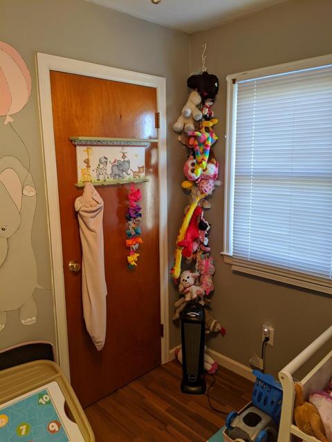 207 Compton Dr, Frankfort, KY 40601 photo 17