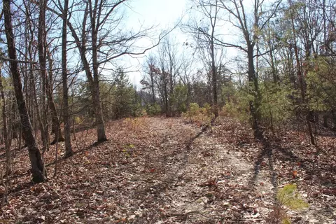 240 Webb Rd, Waco, KY 40385 photo 30