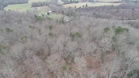 200 White Oak Rd, Williamsburg, KY 40769 photo 33