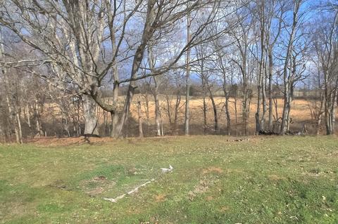 274 No Tree Ln, Glasgow, KY 42141 photo 26