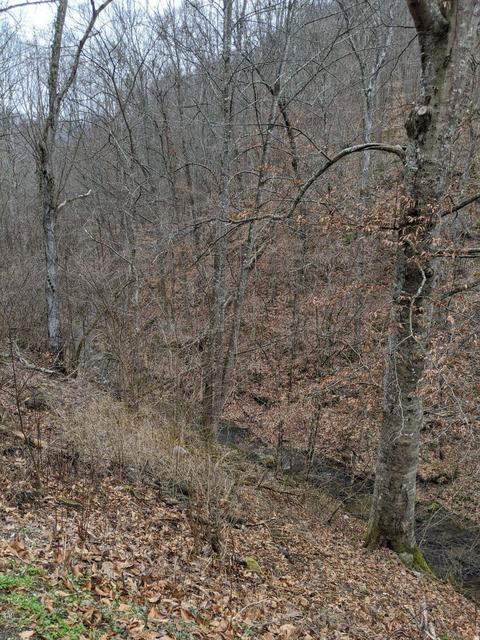 693 Sams Br, Asher, KY 40803 photo 15