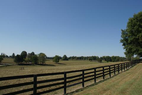 500 Spears Mill Rd, Paris, KY 40361 photo 10