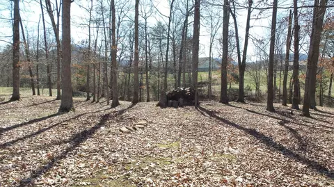 711 Pinewoods Rd, Berea, KY 40403 photo 14