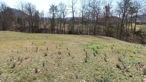711 Pinewoods Rd, Berea, KY 40403 photo 16