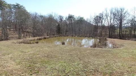 711 Pinewoods Rd, Berea, KY 40403 photo 20
