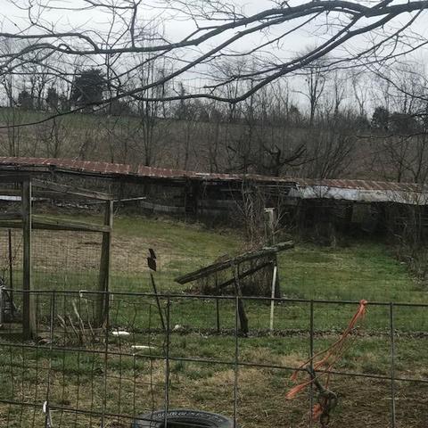 2396 Cummins Ferry Rd, Salvisa, KY 40372 photo 5