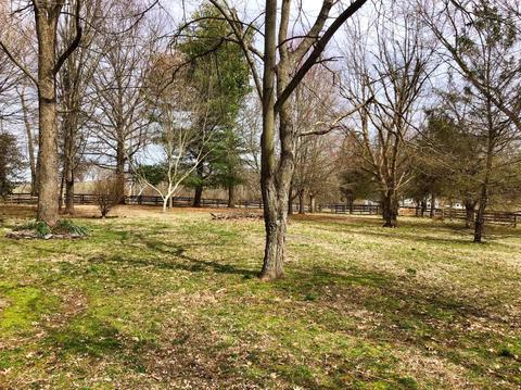 988 Spears Mill Rd, Paris, KY 40361 photo 45