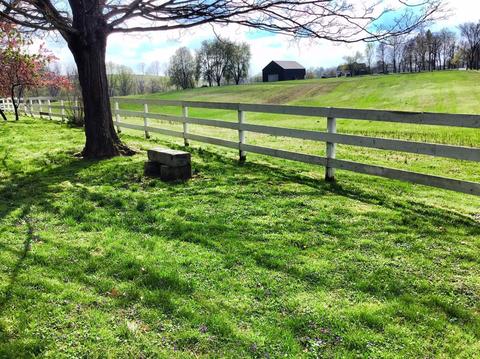 988 Spears Mill Rd, Paris, KY 40361 photo 10
