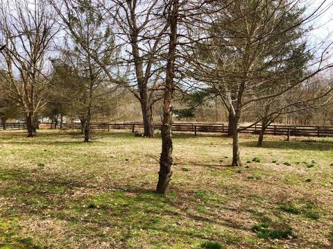 988 Spears Mill Rd, Paris, KY 40361 photo 43