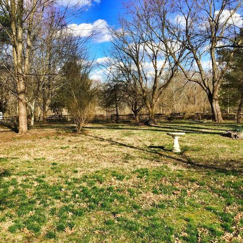 988 Spears Mill Rd, Paris, KY 40361 photo 50