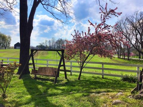 988 Spears Mill Rd, Paris, KY 40361 photo 9