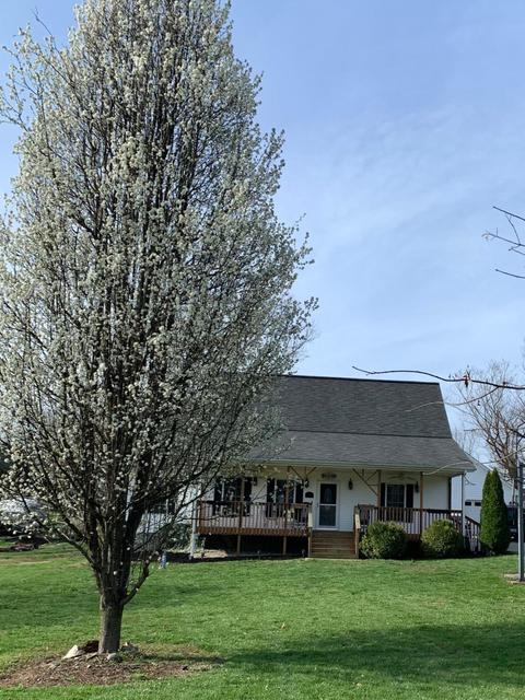 419 Locksley Ct, Georgetown, KY 40324 photo 59