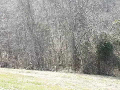 747 Maupin Rd, Lancaster, KY 40444 photo 31