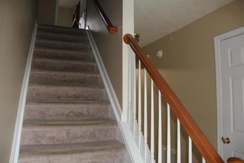 105 Crane Ct, Georgetown, KY 40324 photo 4
