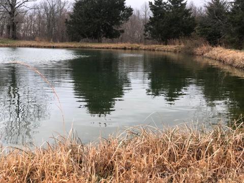 3680 Fall Lick Rd, Lancaster, KY 40444 photo 27