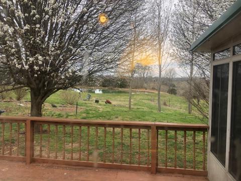 3680 Fall Lick Rd, Lancaster, KY 40444 photo 21