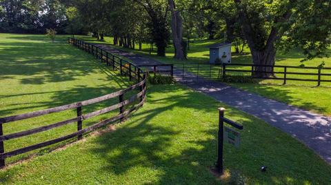2638 Spring Station Rd, Midway, KY 40347 photo 45