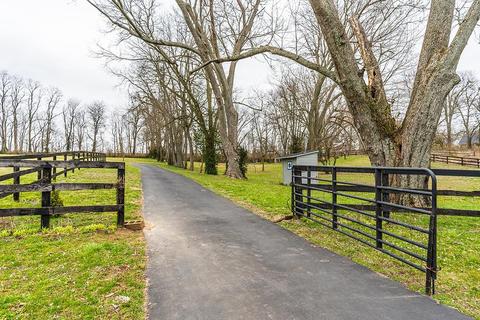 2638 Spring Station Rd, Midway, KY 40347 photo 33