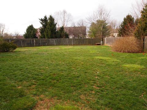717 Eureka Dr, Versailles, KY 40383 photo 19